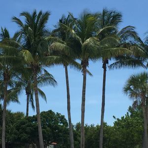 Meet your Posher, Martha